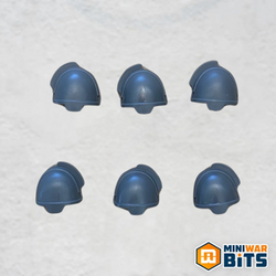 bladeguard veterans shoulder pad bits